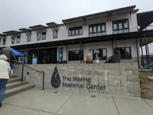 The Marine Mammal Center