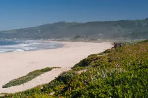 Coastal Bliss: Stinson Beach Retreats and Relaxation