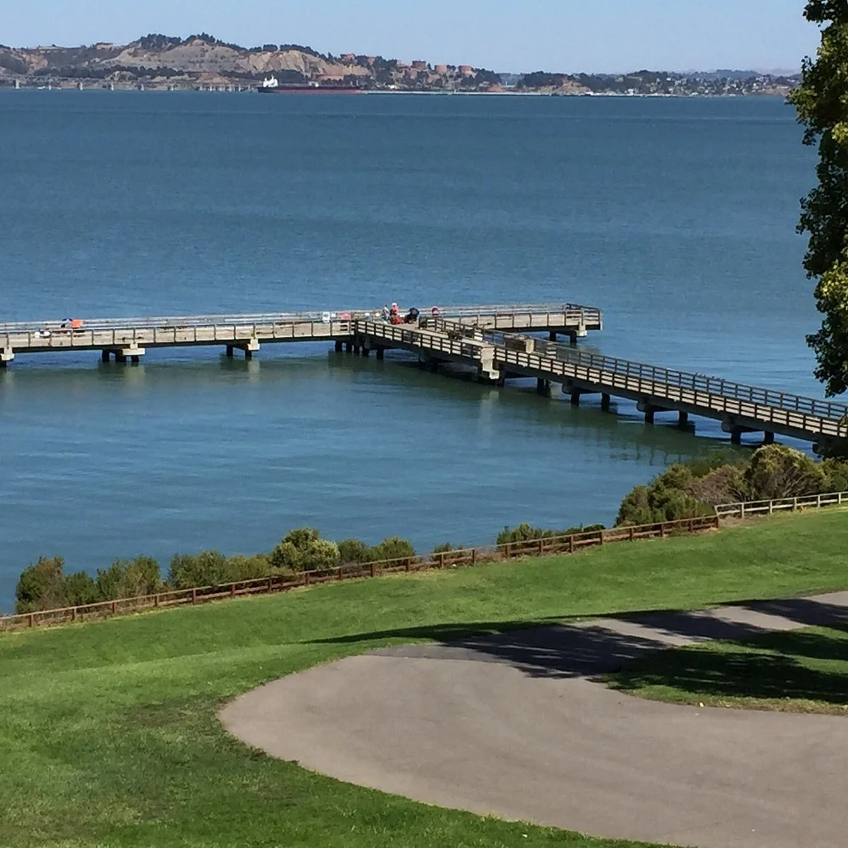 Butterfly Ballet Garden: Dance With Nature in Tiburon, CA