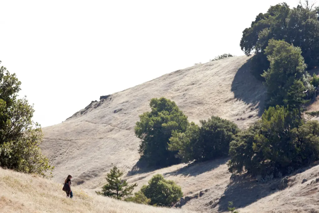 Nature Escapes: Hiking Trails in Mount Tamalpais State Park